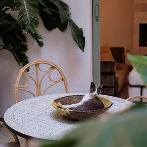 https://riad-danka.marrakeshhotelsmorocco.com